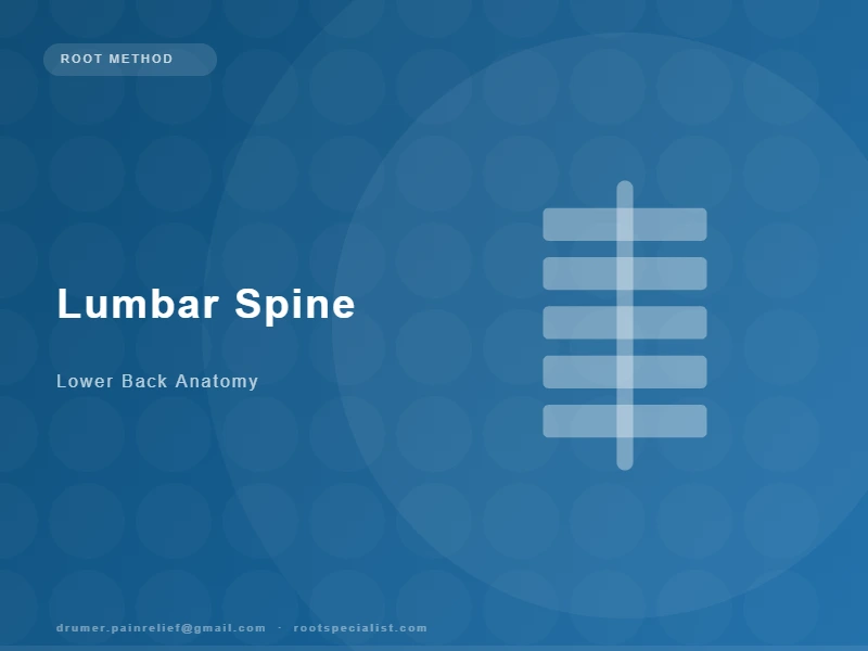 Anatomical illustration of the lumbar spine showing disc degeneration, facet arthropathy, and spinal canal narrowing in lumbar spondylosis